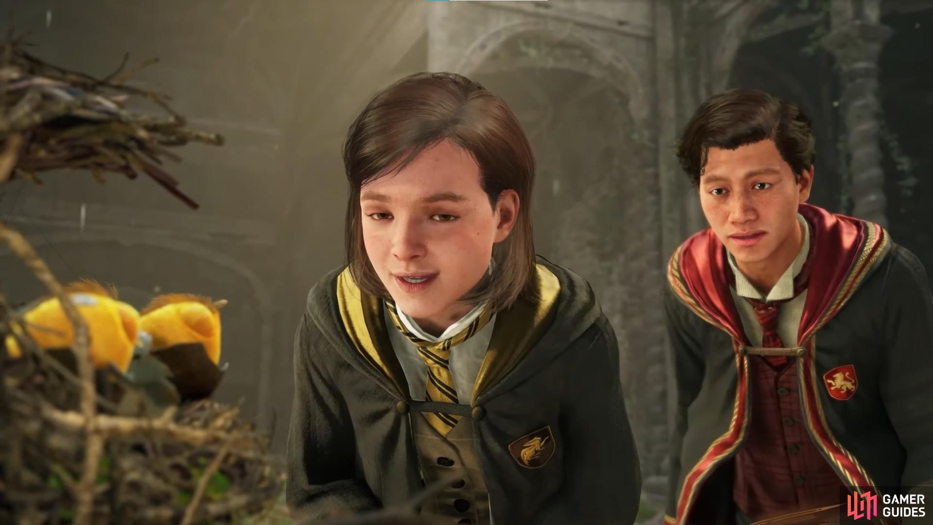 Here's a closer look at the Hogwarts Legacy Companions and how the feature works. Image via Warner Brothers.