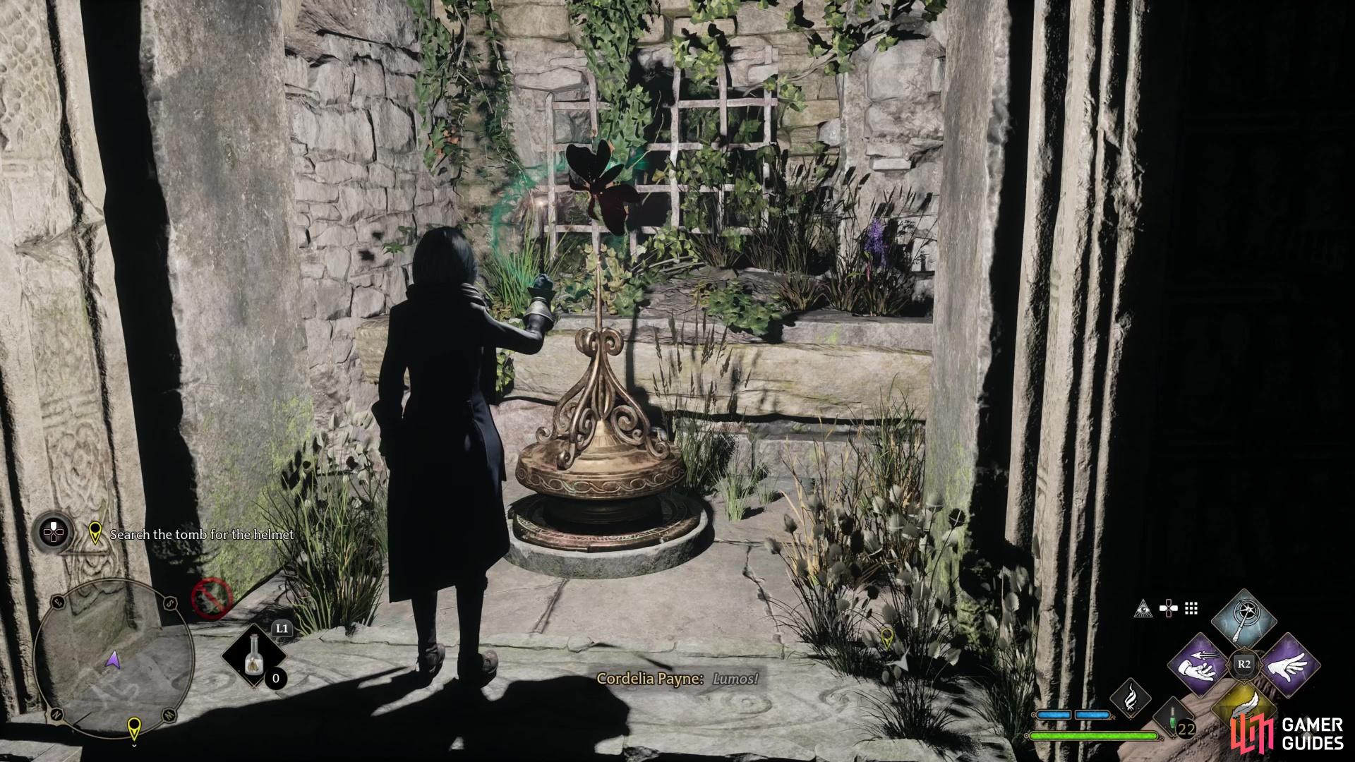 Find a moth perch and use !Lumos to lure the moth to your wand,