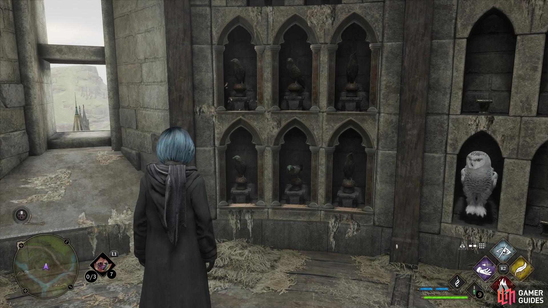 then place the five Jackdaw Statues you find on their perches.