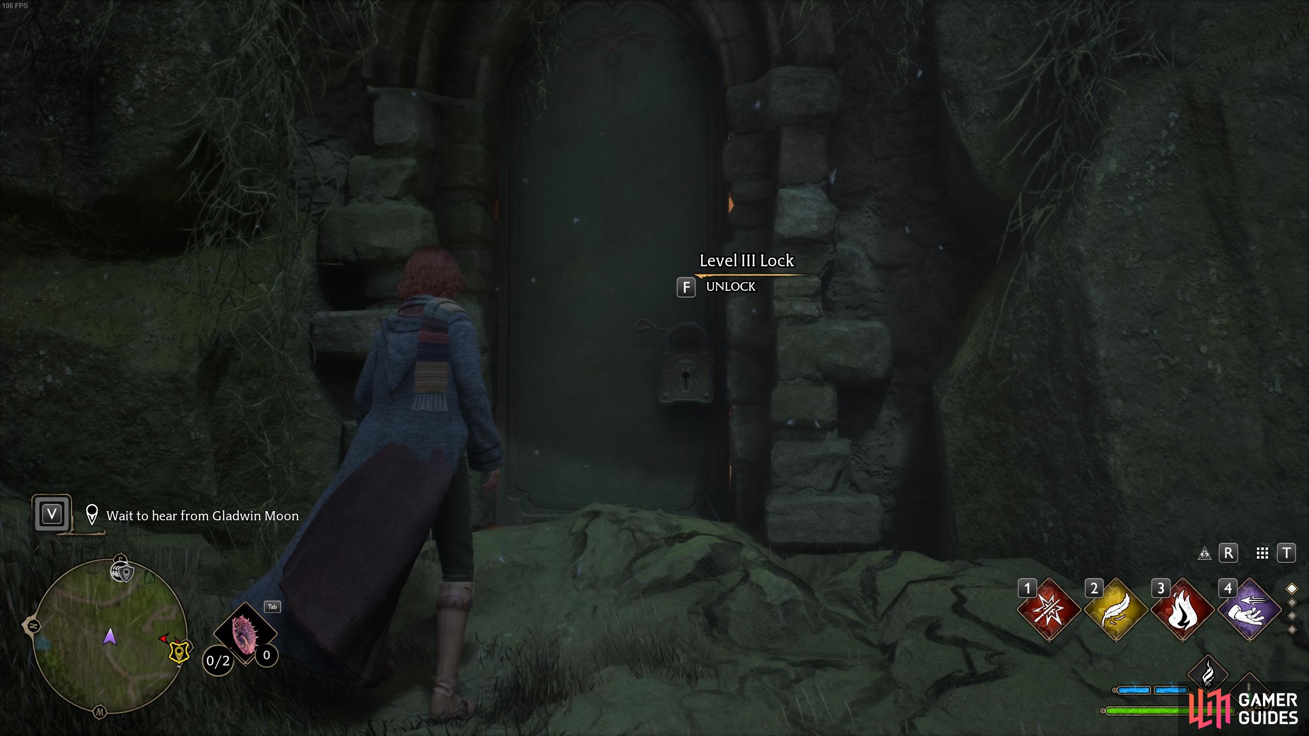 You'll need Level III in the Alohomora spell to unlock the door.