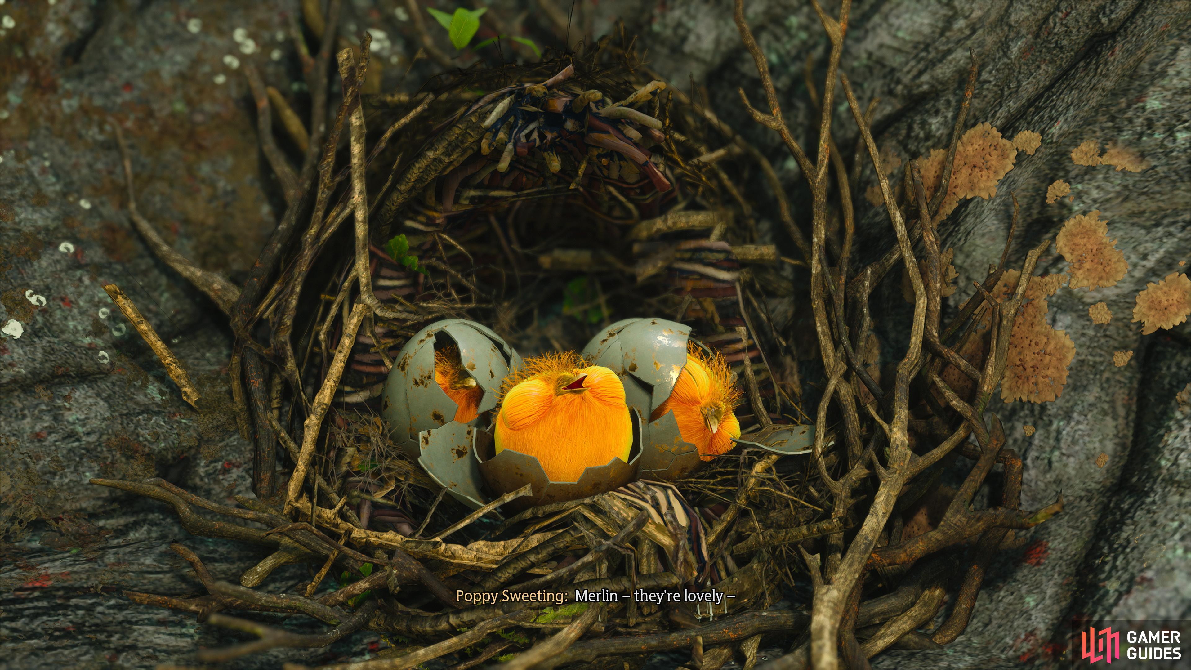 A snidget nest in Hogwarts Legacy.