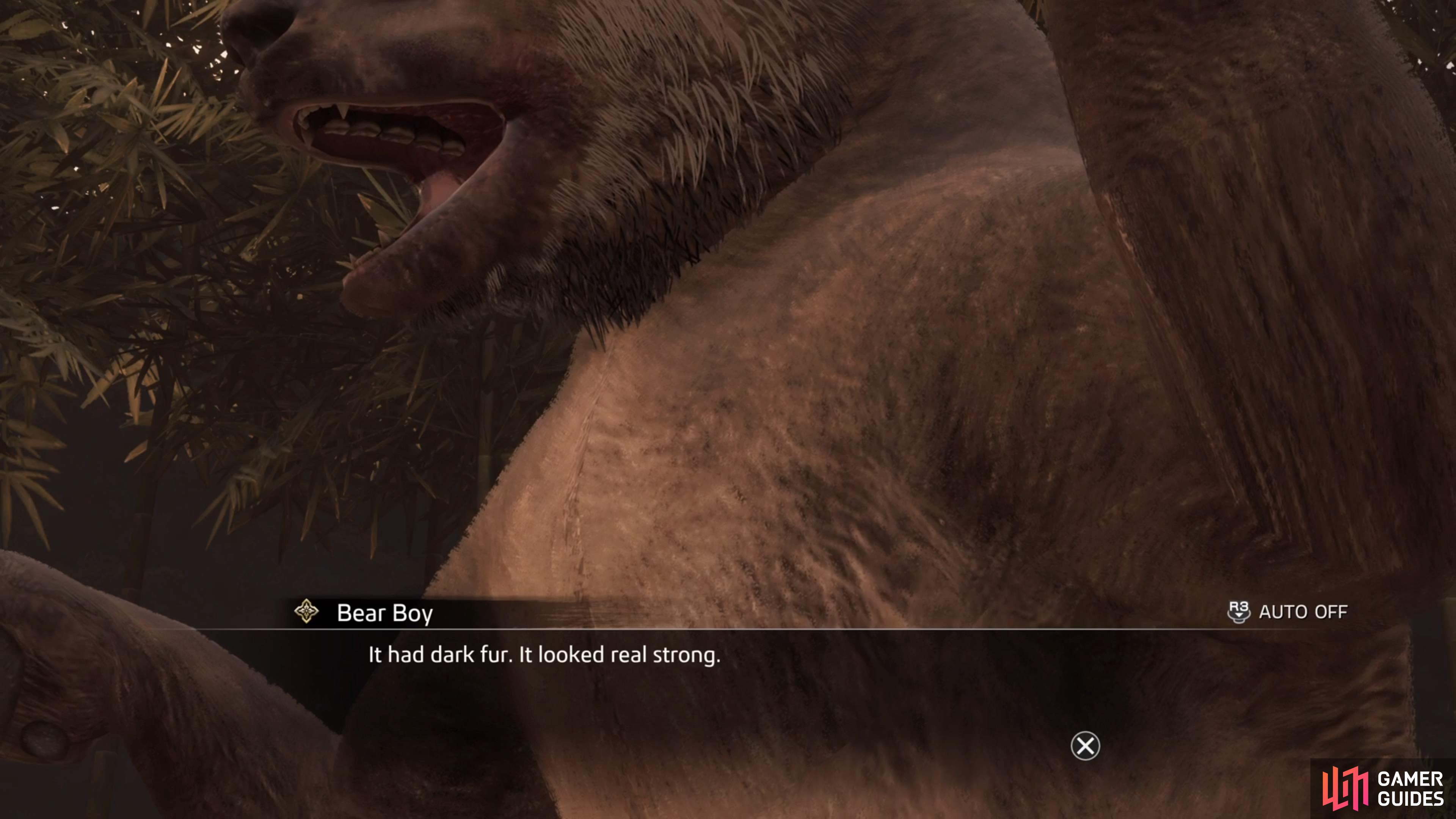 Yep, you're fighting a bear