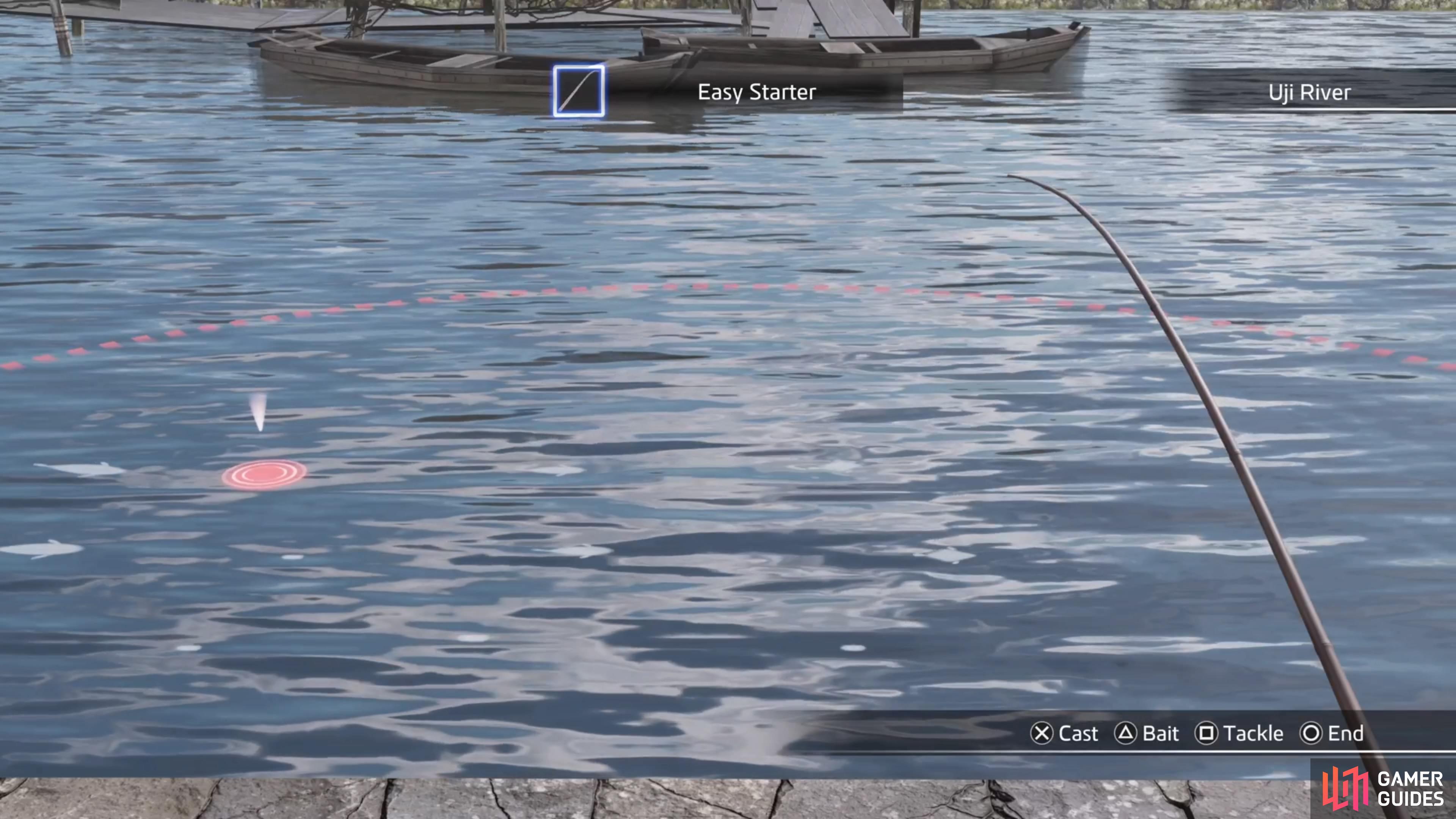 Cast your line near a fish's shadow in the water