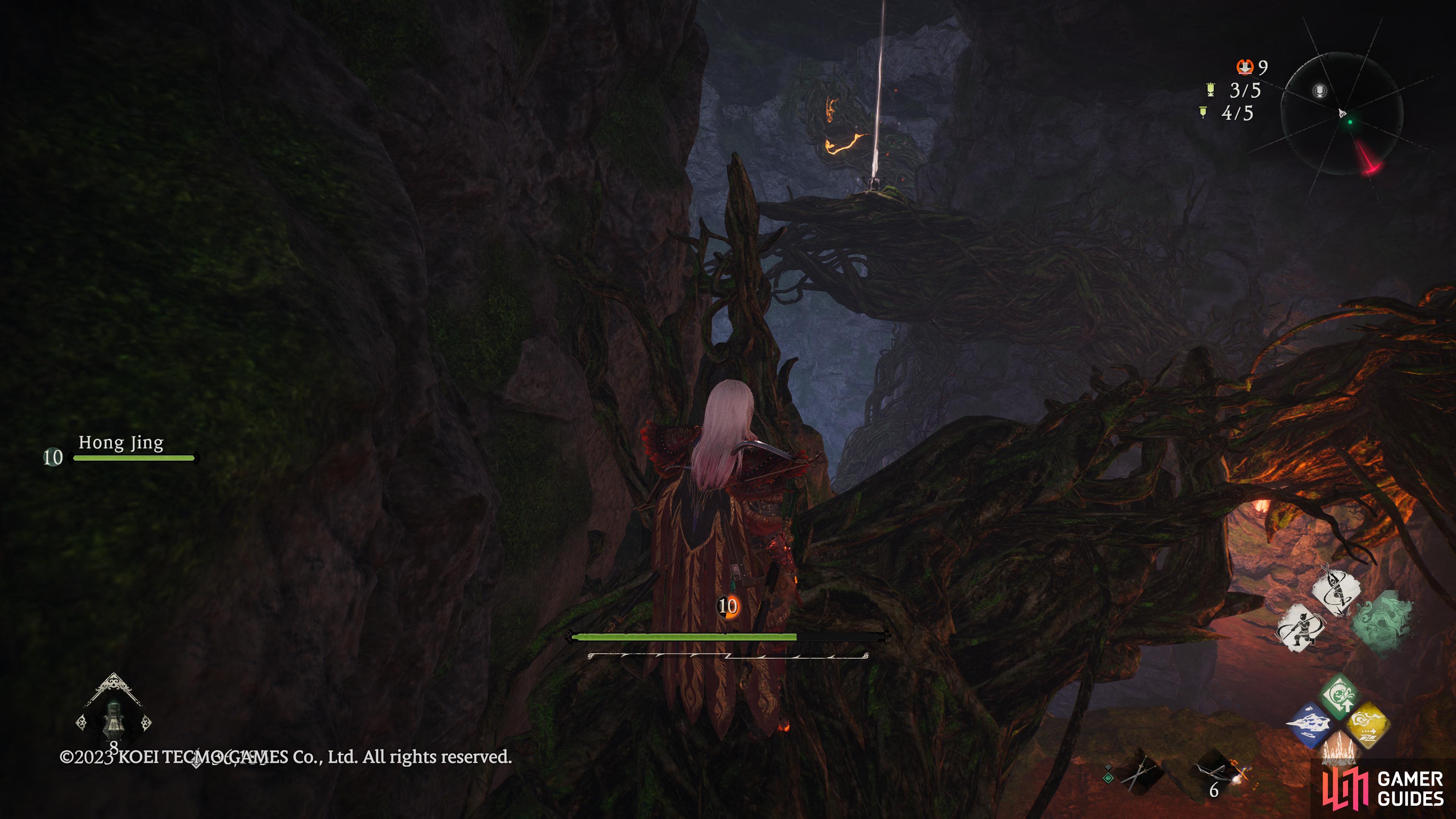 You can find this marking flag on a branch in the cave.