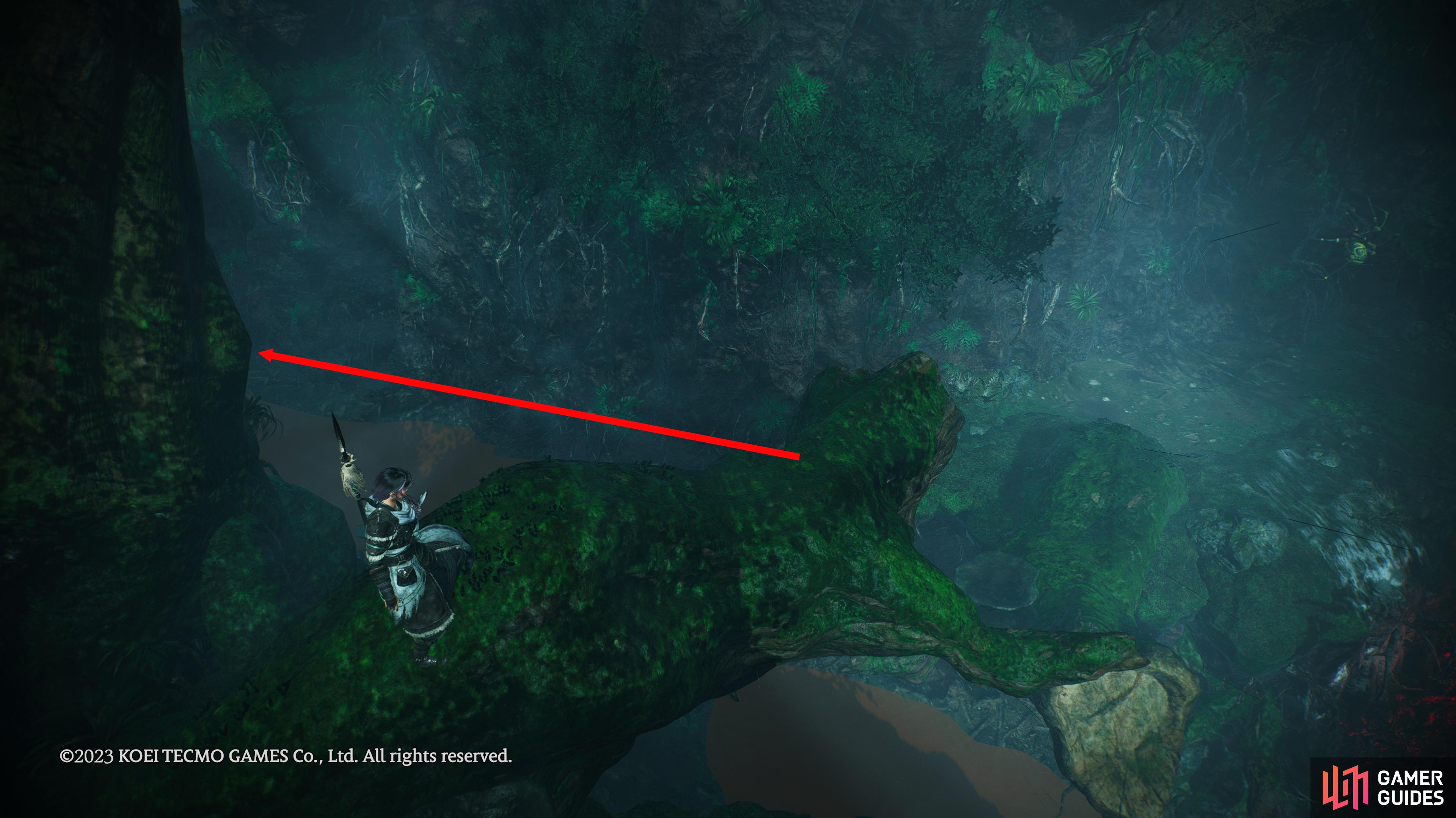 At the start of the mission. Progress until you reach the first open area and jump off the branch to your left.