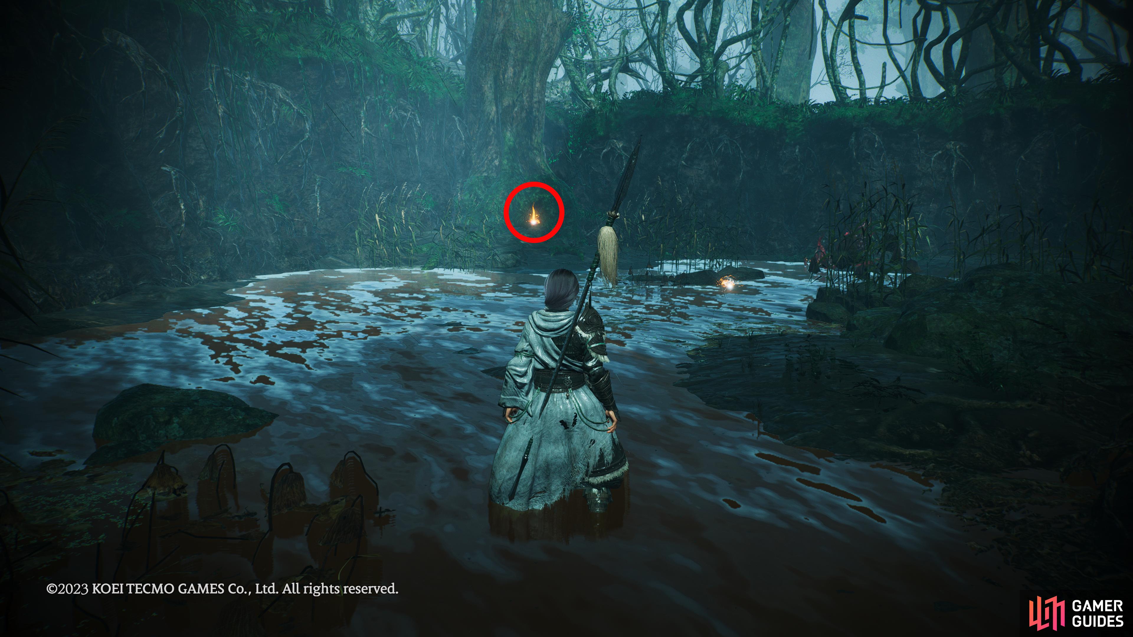 This will lead to a side room where an alligator will attack you. The shell can be found at the back.