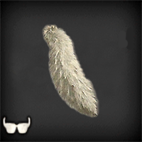 Wolf_Tail_Icon_RE4_Remake.png