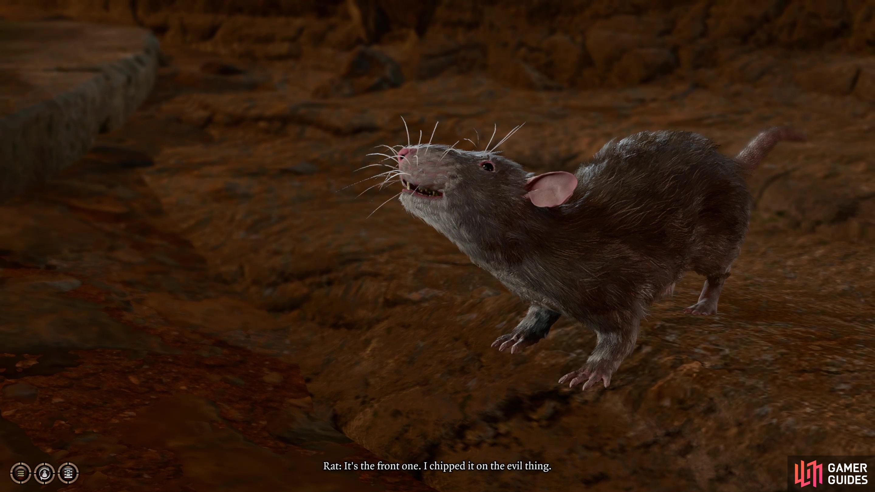 Speak with Animals does what it says, and animals in Baldur’s Gate 3 are surprisingly chatty, capable of divulging all sorts of interesting information.