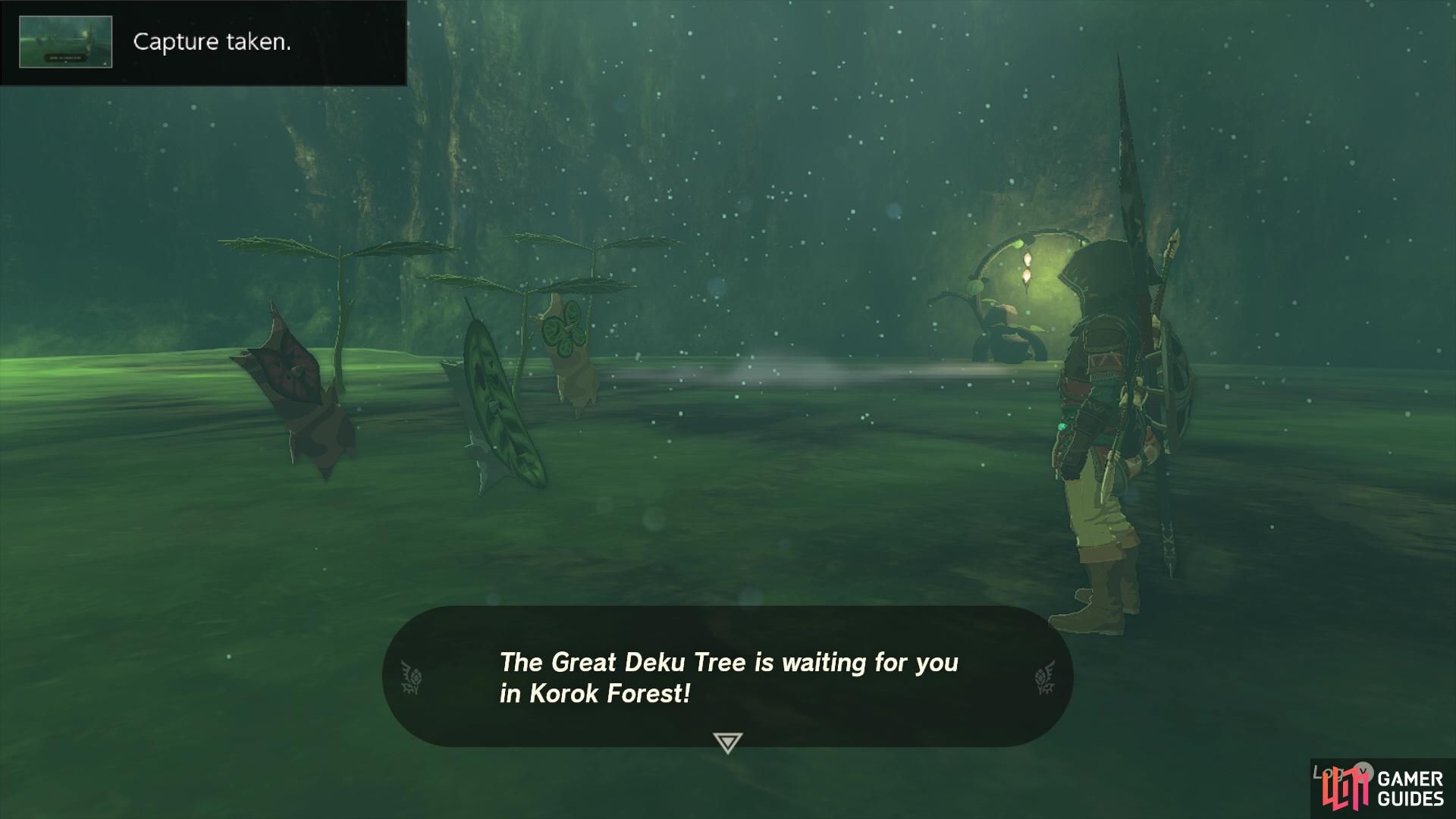 Inside The Deku Tree In Zelda: TOTK Is Worse Than It Was 25 Years Ago