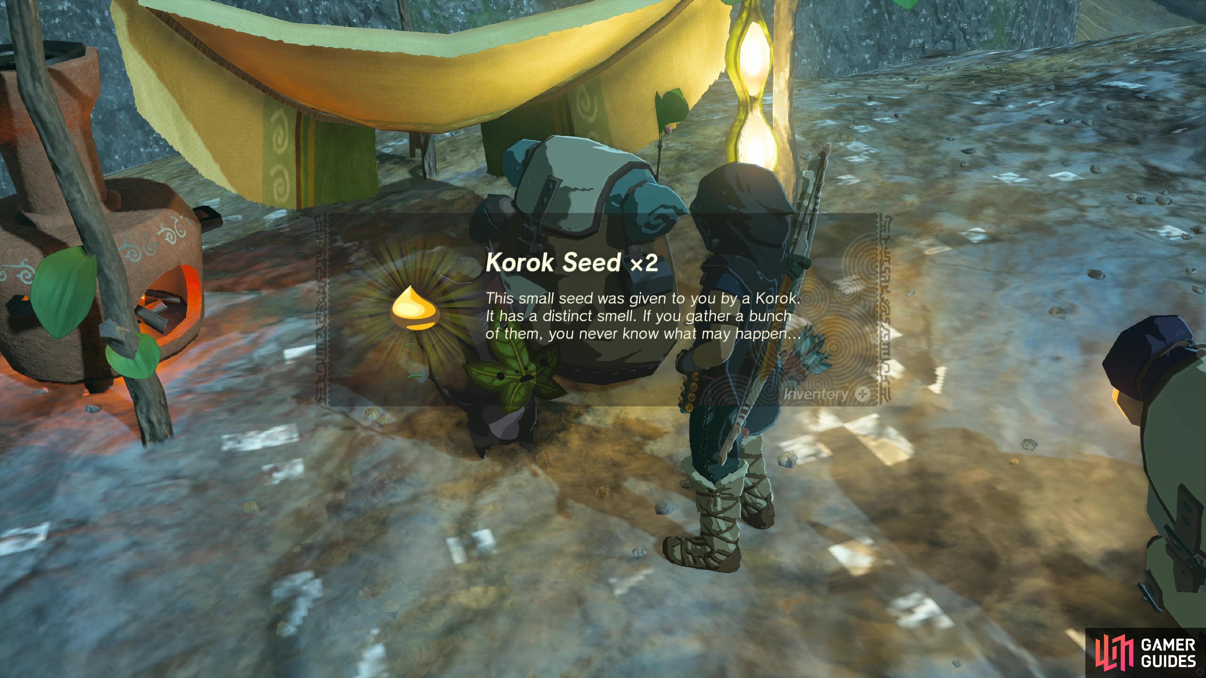 All Korok Puzzles In Tears Of The