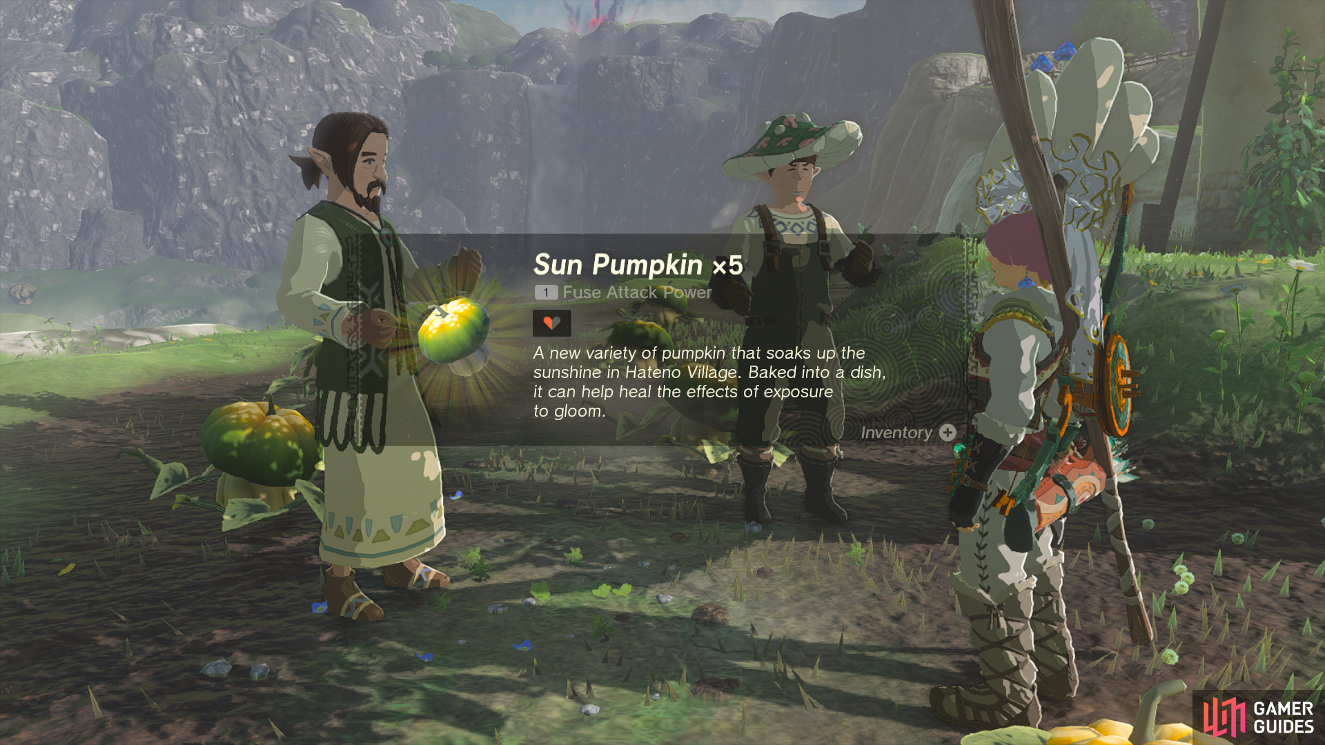 Sun Pumpkins will become available for purchase after this quest.