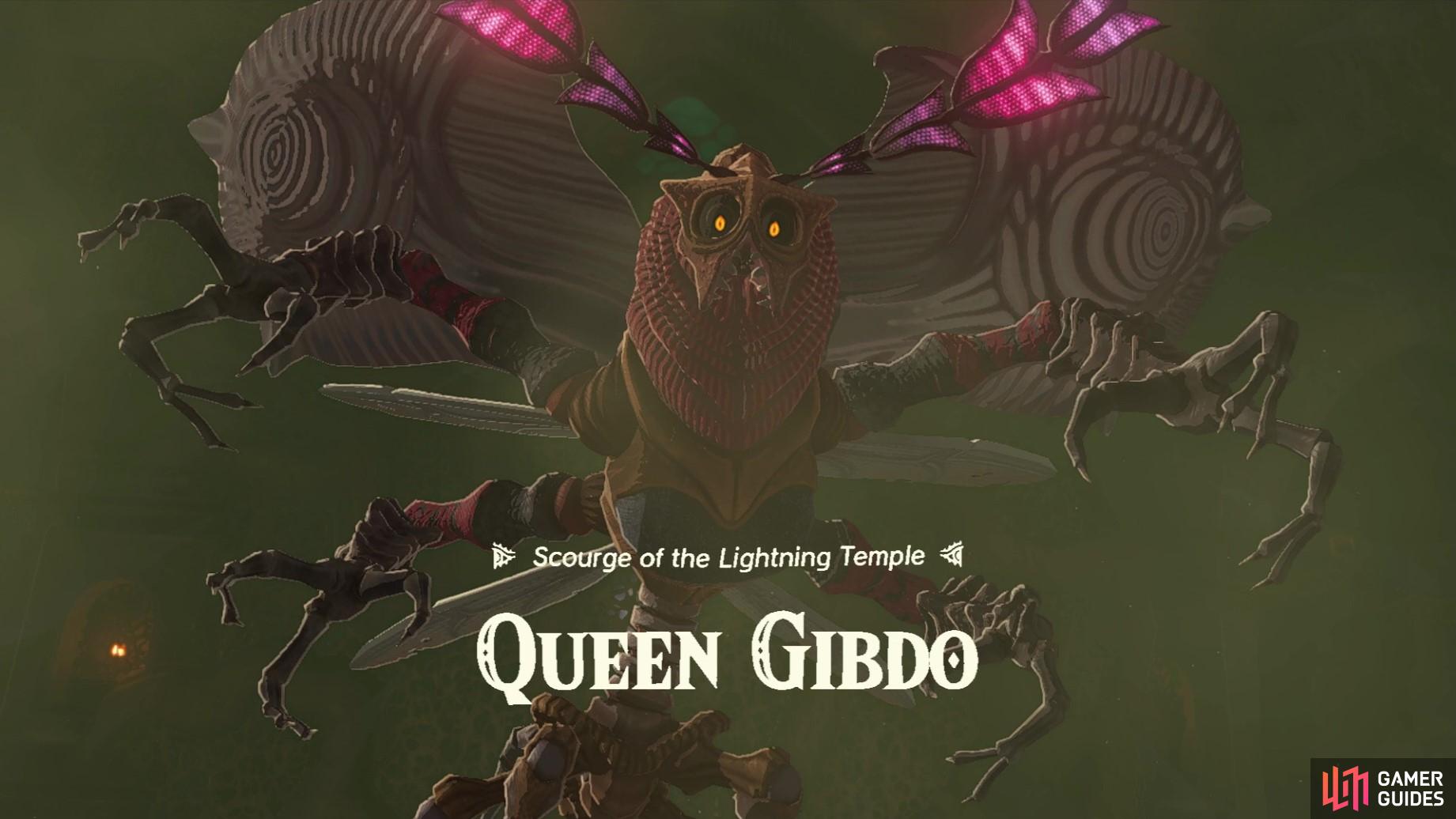 !Queen Gibdo: The Scourge of the Lightning Temple.