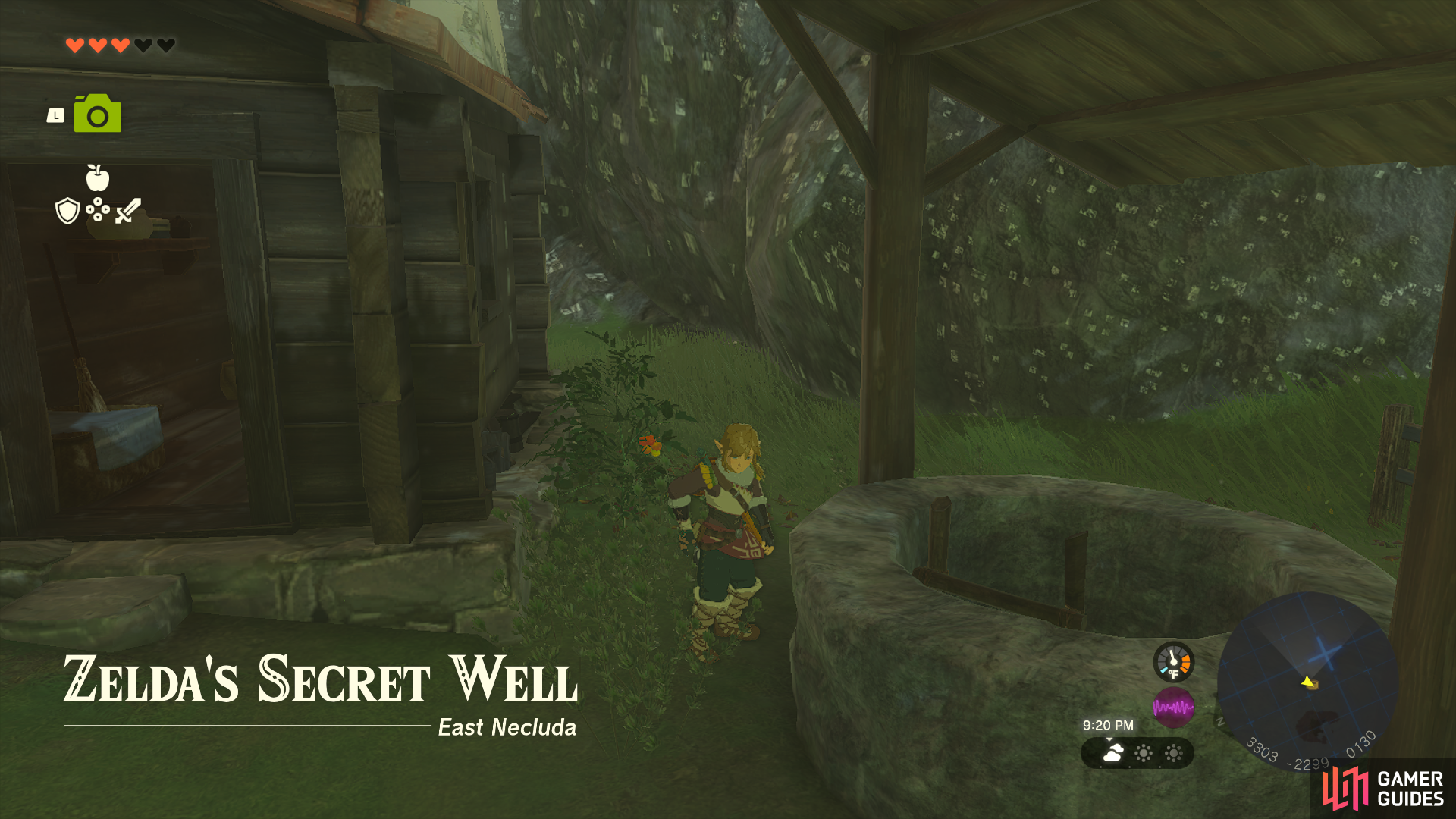 Finding Zelda's secret well.