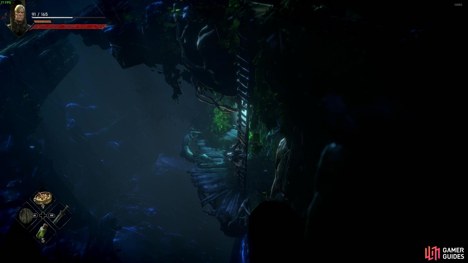 Once you enter the glade, go down the ladder to find a missable cave.
