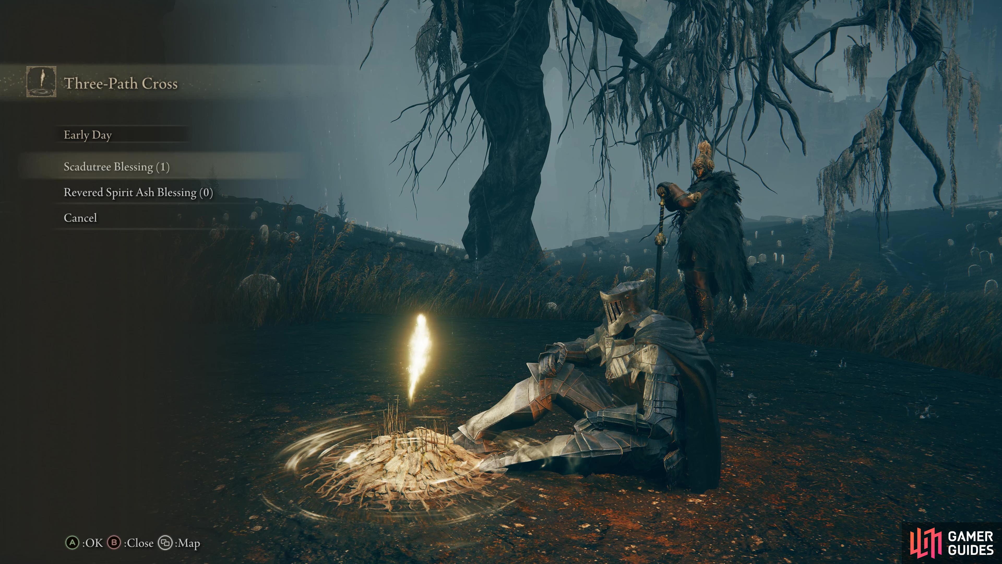 Scadutree and Revered Spirit Ash Blessings Explained Tips & Tricks