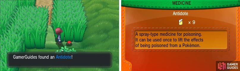 Look for the small gaps in the grass to grab your items while avoiding wild battles.