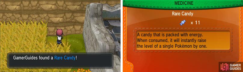 You have to wade through overgrown grass for this Rare Candy, but it's worth the trouble!