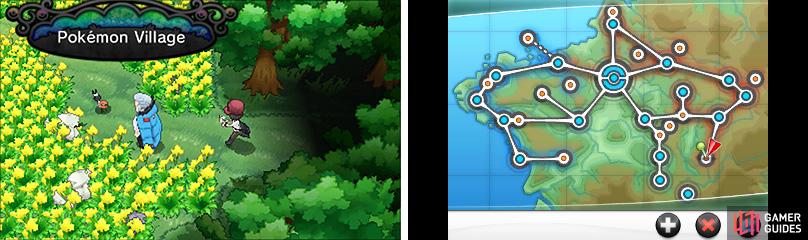 There's a LOT of cool wild Pokémon to find and capture in the Pokémon Village.