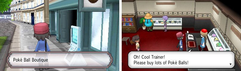 The Poke Ball Boutique is perfect for your Poke Ball needs!