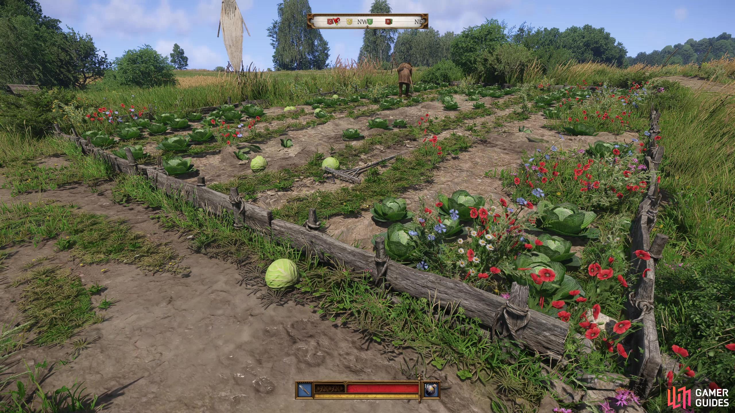 Cabbage Thief Walkthrough - Trosky - Free Form Quests | Kingdom Come ...