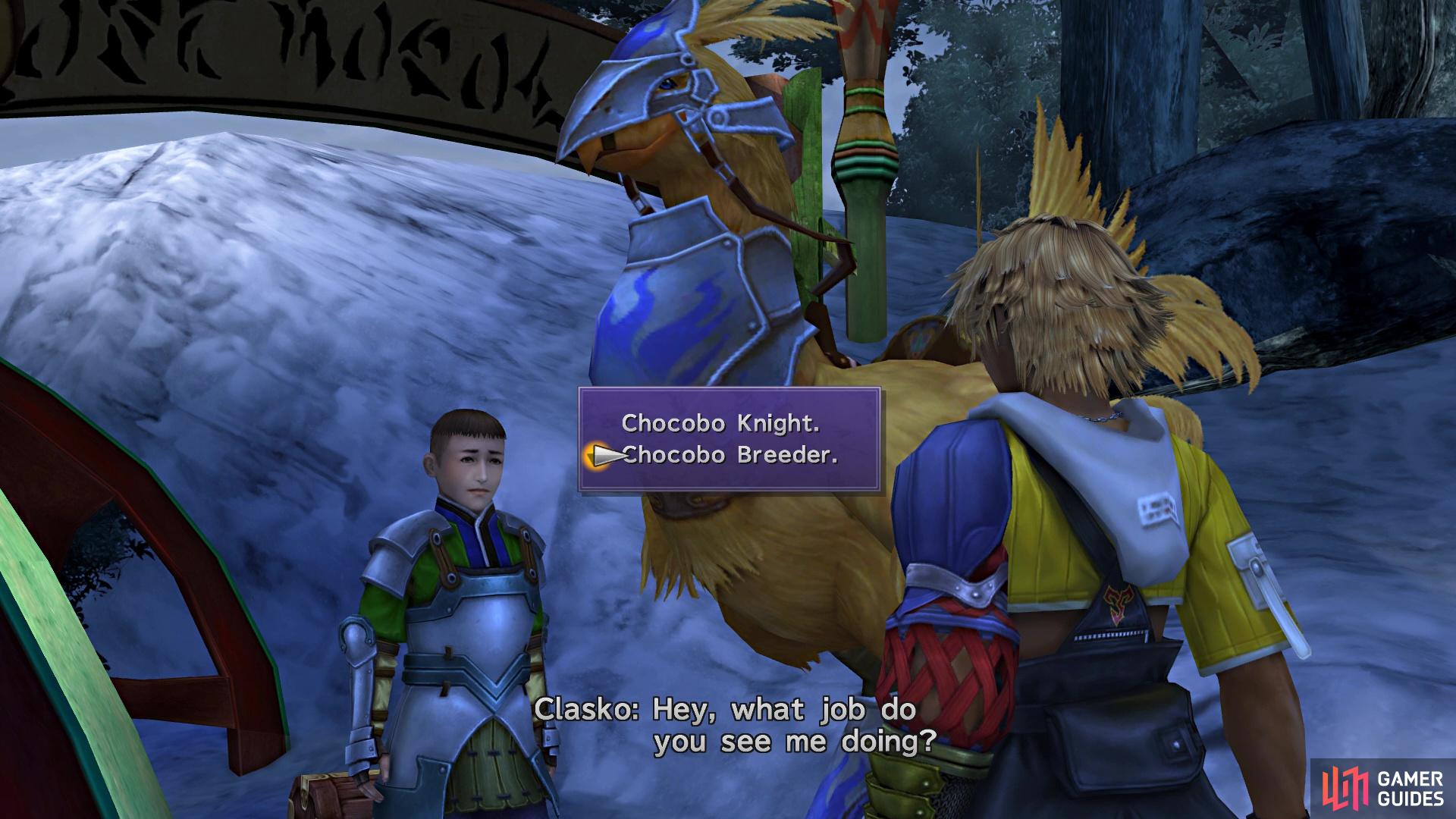 Tell Clasko to become a Chocobo Breeder to see him later in the game
