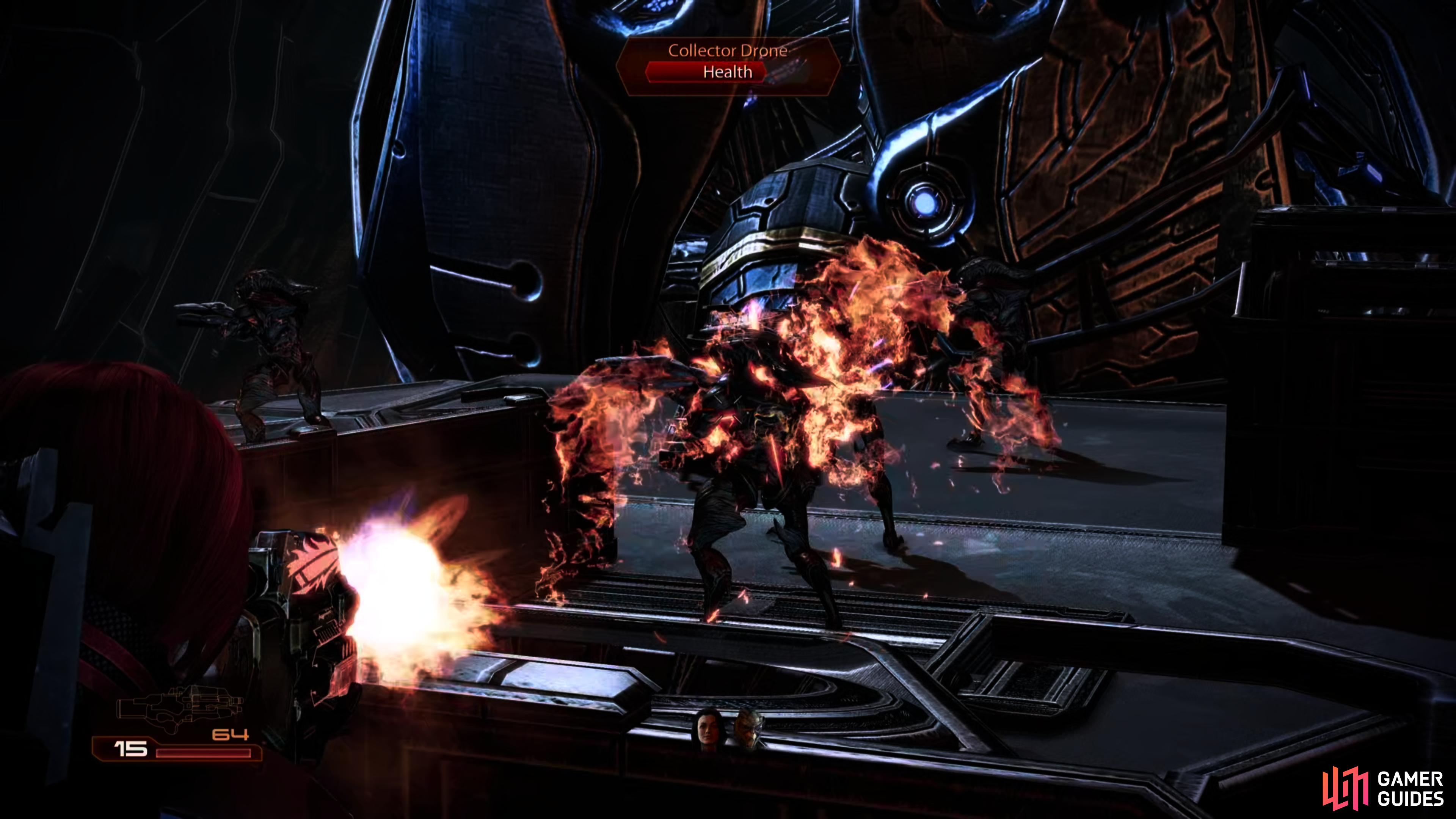 Dispatch the Collectors guarding the Reaper-Human Larva,