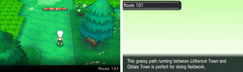 A brief route with some Pokemon that you can't catch yet.