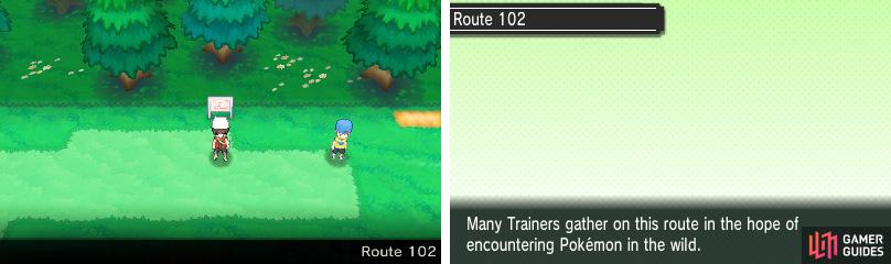A grassy route that features your first taste of regular Pokemon battles.