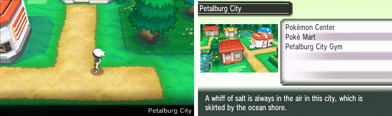 Pokemon Emerald Walkthrough Road to the Sixth Gym - Fortree City