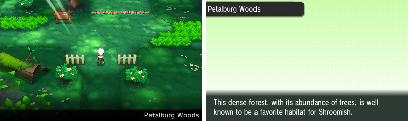 Petalburg Woods, Pokémon Wiki