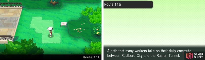 A route with actual Pokémon and trainers!