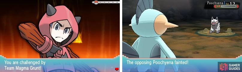 Team Aqua and Magma are both fond of using Poochyenas in battle.