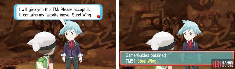 Steel Wing is a decent move for Flying-types, letting them damage sturdy Rock-types.