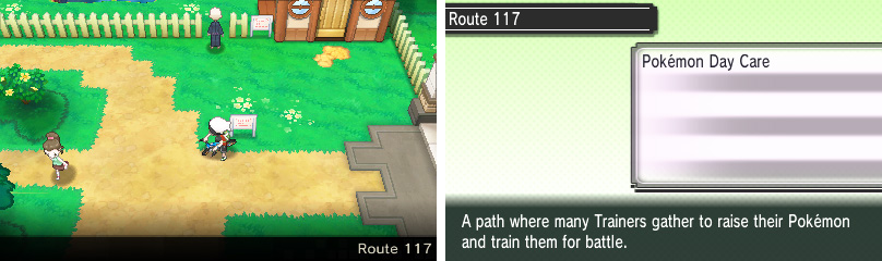 Passionate Pokémon breeders cycle back and forth on this route to hatch their Pokémon eggs.