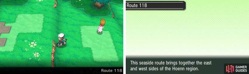 Another route divided into two by a body of water. (This game sure is a tease…)