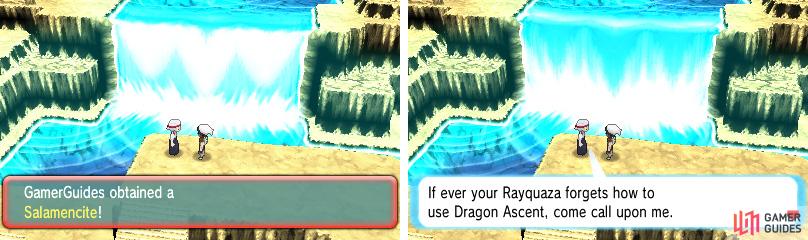 Both of these will be invaluable to Dragon-type masters.