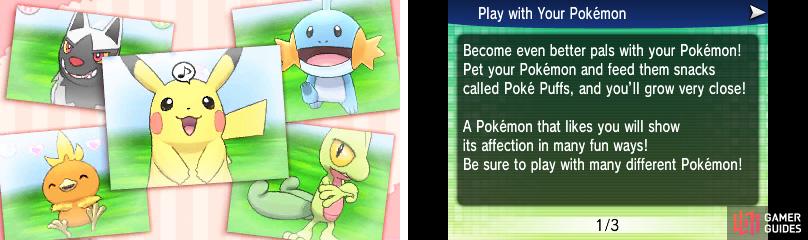 Here, you can play with your Pokémon to become better friends.