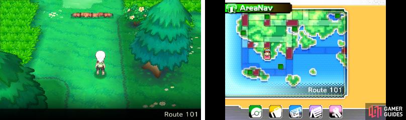 If it's your first time in Hoenn, keep your map handy.