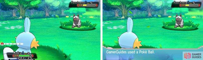 Pokémon Alpha Sapphire and Omega Ruby – Legendary Pokémon capture guide