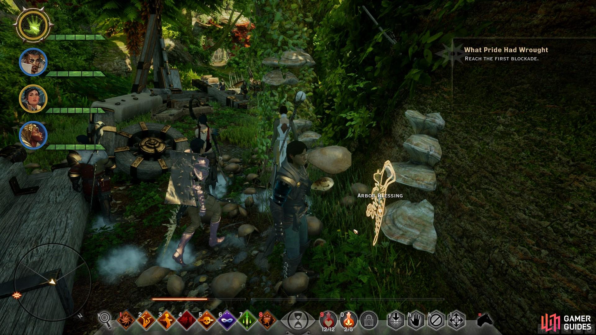 Looting Arbor Blessing will allow you to acquire their seeds, which can later be planted at Skyhold.