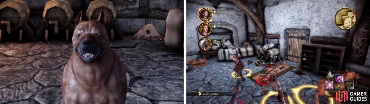 The Arl of Redcliffe - Dragon Age: Origins Online Nightmare Guide