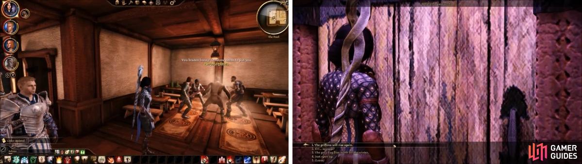 Guide for Dragon Age: Origins - Denerim