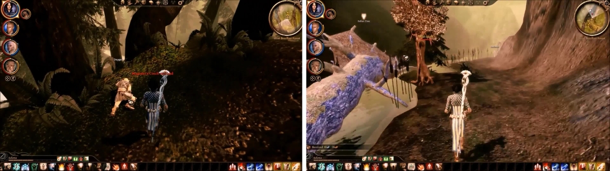 The Gauntlet - Dragon Age: Origins Online Nightmare Guide