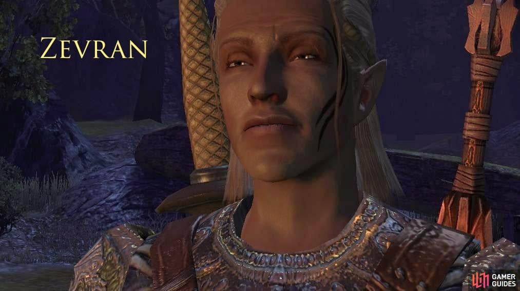 Zevran is Antonio Banderas in elf form. Suave and smooth, this guy will take a fancy to anything with two legs. He is a damn good rogue though.