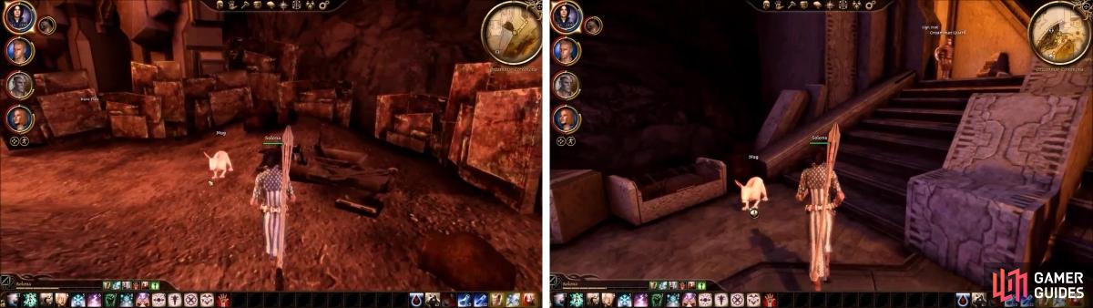 Nature of the beast, Main quests - Dragon Age: Origins Game Guide