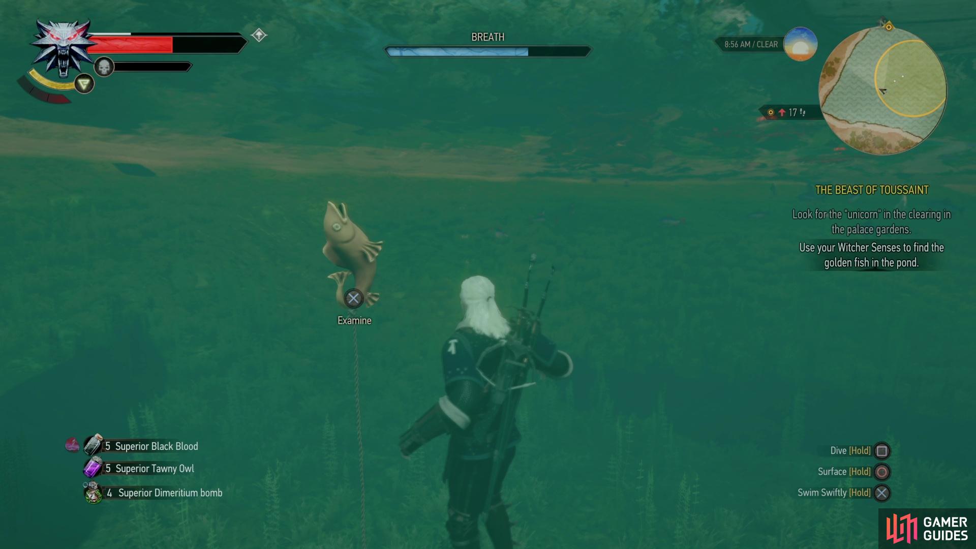 Search the southwestern end of the search area to find the golden fish containing the key you need.