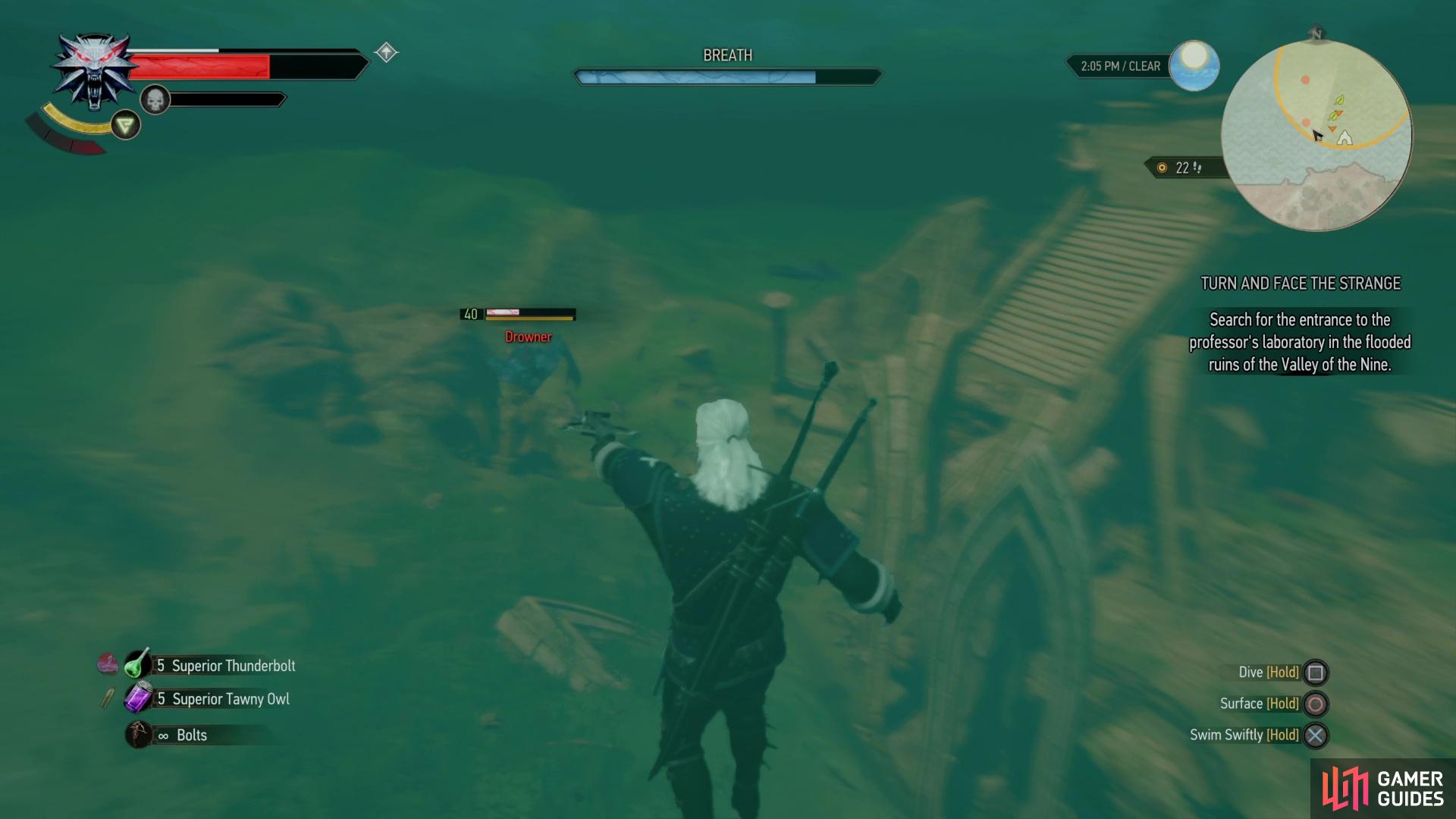 Kill some Drowners in the search area,