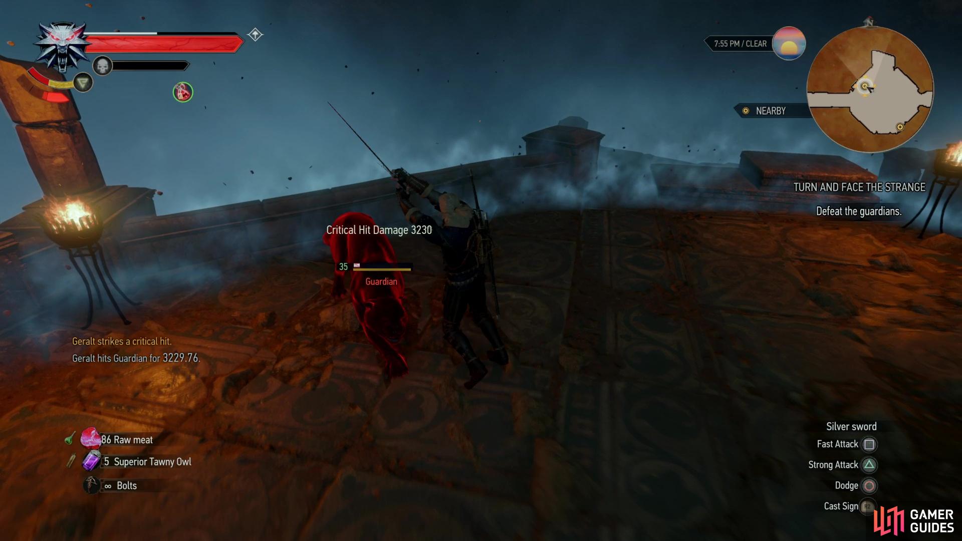 Defeat some guardian panther statues,