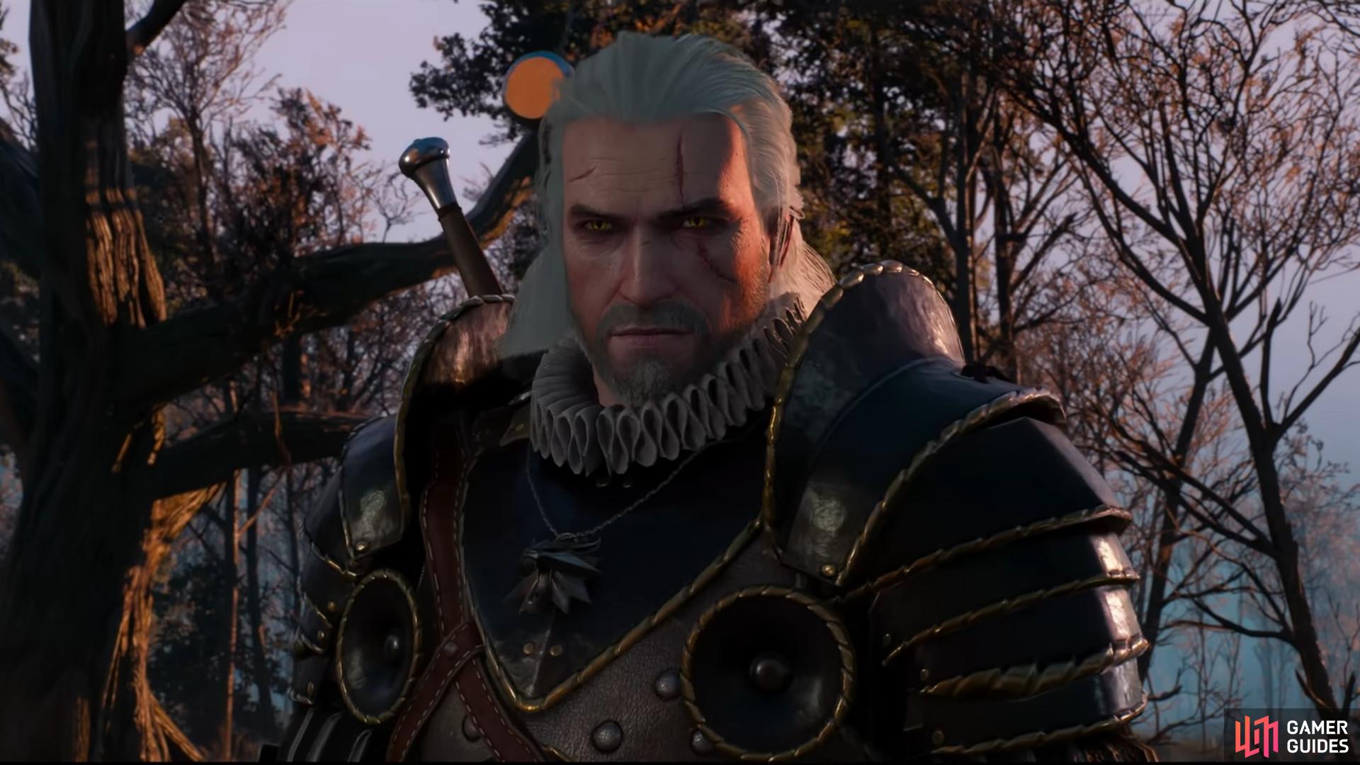 Just finished King's Gambit a few hours ago, was exploring Skellige and  found this : r/witcher