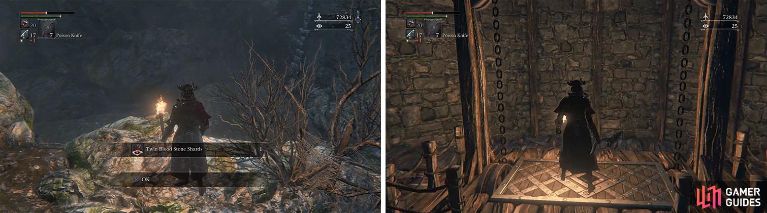 Grab the Twin Blood Shards on the ledge near the lift and unlock the shortcut.